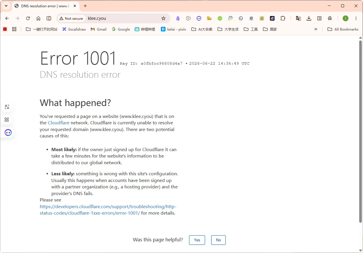 DNS 1001 错误
